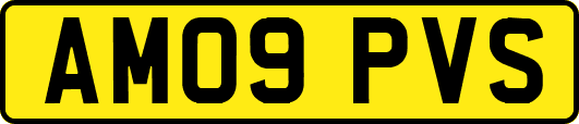 AM09PVS