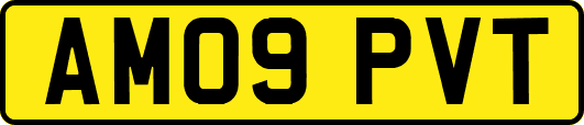 AM09PVT