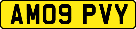 AM09PVY