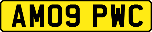 AM09PWC