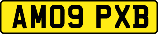 AM09PXB