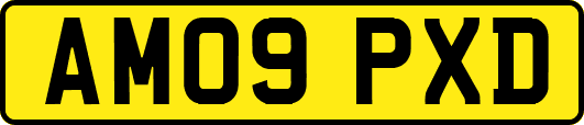 AM09PXD