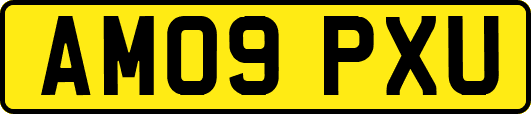AM09PXU