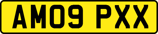 AM09PXX