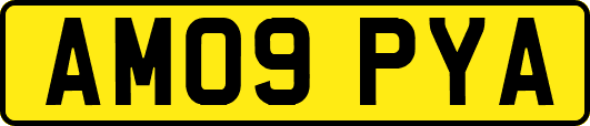 AM09PYA