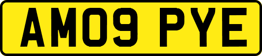 AM09PYE
