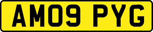 AM09PYG