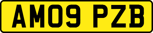AM09PZB