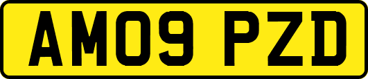 AM09PZD