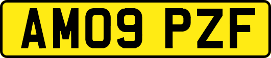 AM09PZF