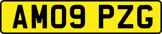 AM09PZG