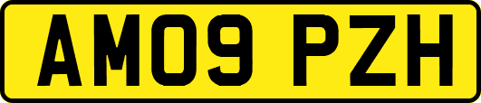 AM09PZH