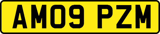 AM09PZM
