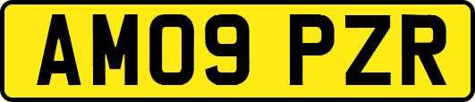 AM09PZR