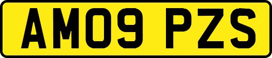AM09PZS