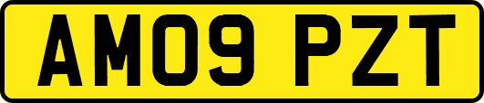 AM09PZT