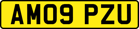 AM09PZU