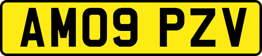 AM09PZV