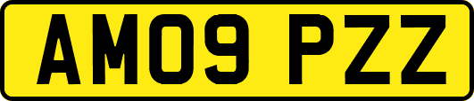 AM09PZZ