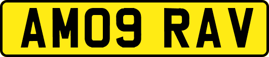 AM09RAV