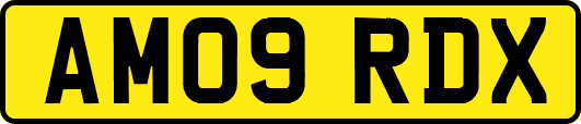 AM09RDX
