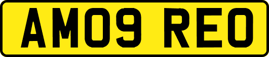 AM09REO