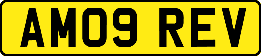 AM09REV