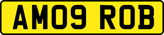 AM09ROB