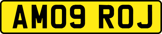 AM09ROJ