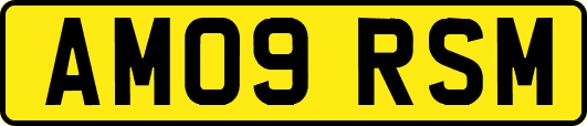 AM09RSM