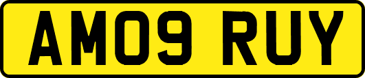 AM09RUY