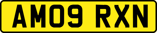 AM09RXN