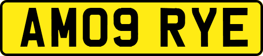 AM09RYE