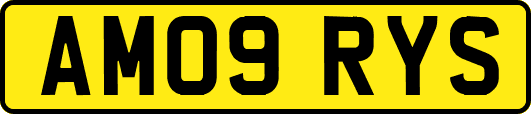 AM09RYS