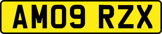 AM09RZX