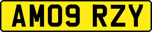 AM09RZY