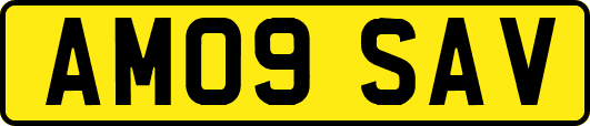 AM09SAV