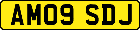 AM09SDJ