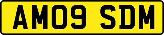 AM09SDM