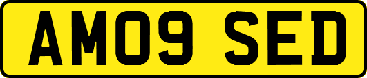 AM09SED