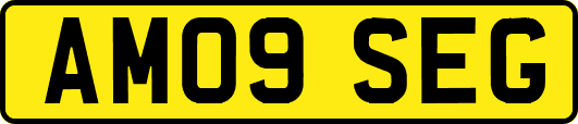 AM09SEG