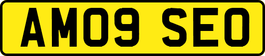 AM09SEO