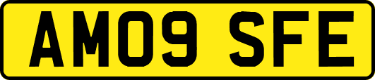 AM09SFE