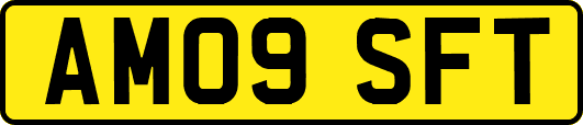 AM09SFT