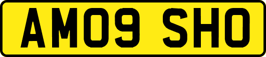 AM09SHO