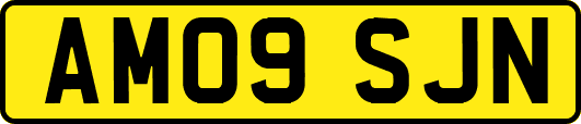 AM09SJN