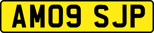 AM09SJP