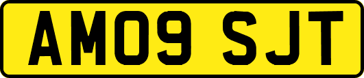 AM09SJT