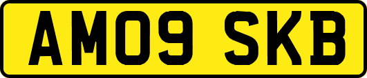 AM09SKB