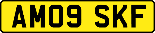 AM09SKF